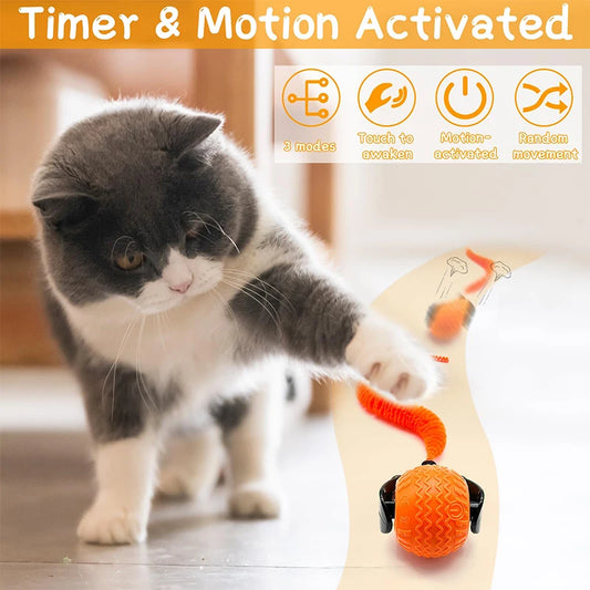 TippyCare 2025 Interactive Cat Toy – 360° Automatic Rolling Ball