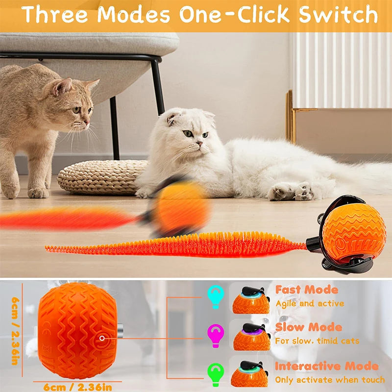 TippyCare 2025 Interactive Cat Toy – 360° Automatic Rolling Ball