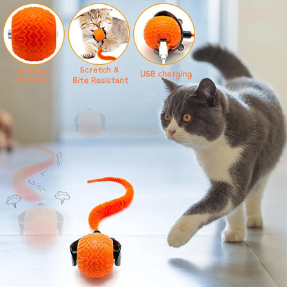 TippyCare 2025 Interactive Cat Toy – 360° Automatic Rolling Ball